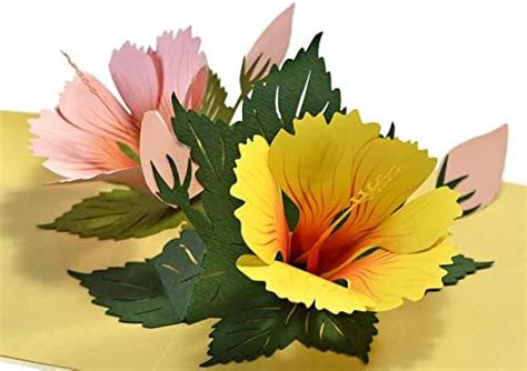 Cutpopup Hibiscus Flower Pop Up Card Mothers Day Flower Greeting 3d