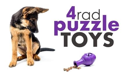 Best Dog Puzzle Toys (Help Your Pup Stay Busy)