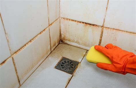 How To Remove Mold From Shower: Step-by-Step Guide