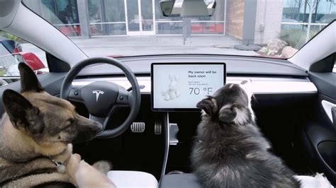 Some Tesla Owners Report Malfunctioning Dog Mode In New Update