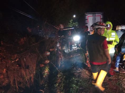 Pohon Besar Di Cugenang Cianjur Tumbang Arus Lalu Lintas Sempat Tutup