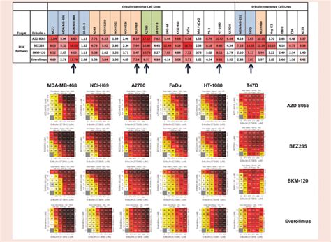 Synergy Score Heat Map And Representative Growth Inhibition Dose