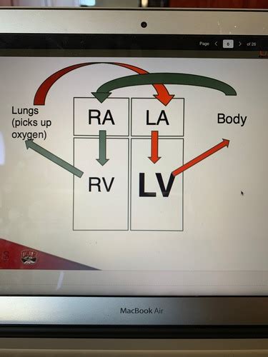 CPR Written Exam Flashcards Quizlet