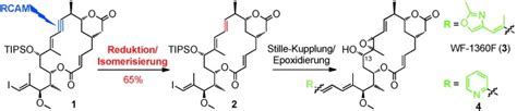 Totalsynthese Des Tubulinhemmers Wf F Ber Eine Durch Ringschluss
