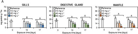 Protein And Activity Variation Of Antioxidant Enzymes Of Gills Download Scientific Diagram