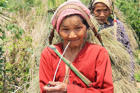 Days Trek Akha Trail In Vieng Phoukha Phou Iu Travel Ecotourism Laos