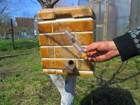 шмелеводство, шмелевик, шмель, домик для шмелей, улей для шмелей, всё о ...