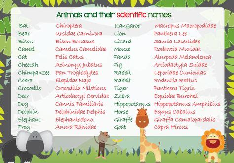 10 Scientific names ideas | names, scientific, study biology