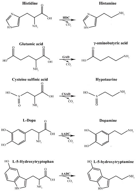 Ijms Free Full Text A Simple And Efficient Method For The Substrate Identification Of Amino