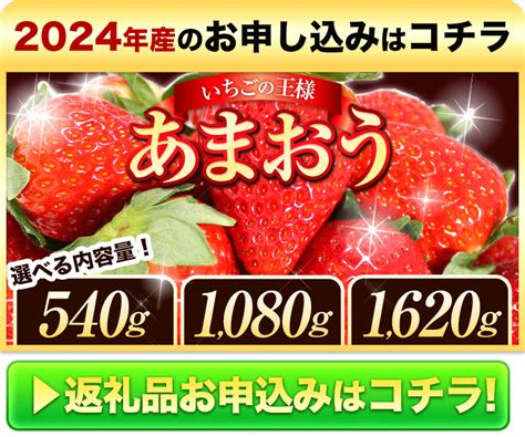 【楽天市場】【ふるさと納税】あまおう いちご：福岡県鞍手町