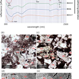 A (a) Continuumremoved spectral reflectance curves of typical ...