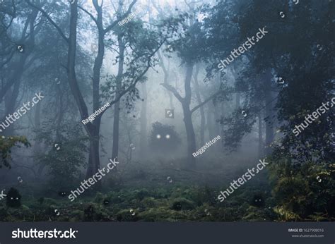 Creepy Fantasy Forest Trees Back Lighted Stock Photo 1627908016 ...