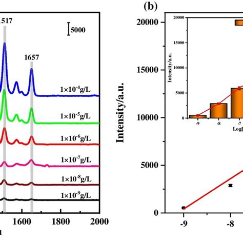 A Sers Spectra Of Different Concentrations G L Of R G