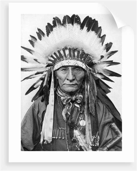 A Native American chief wearing his headdress posters & prints by Anonymous