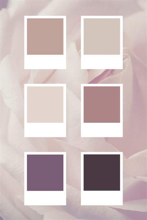 Dusty Rose Color Palette Boho Color Palette Branding Color - Etsy ...