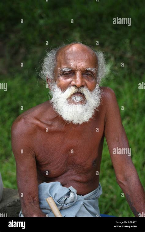 Old Sri Lankan Man Stock Photo Alamy