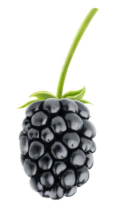 Blackberry Fruit PNG Pic PNG All