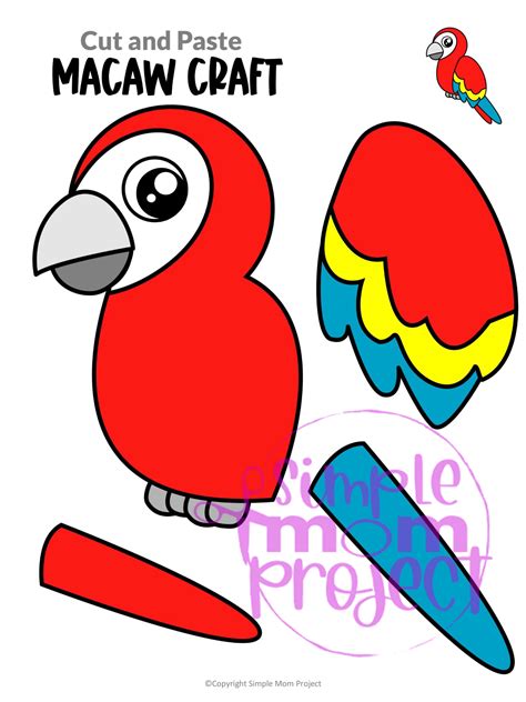 guide to parrot making noise at home 2