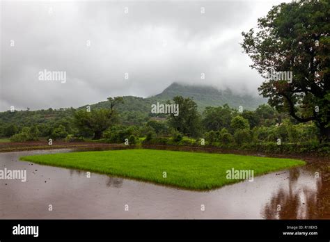 Monsoon landscapes around Tamhini Ghat and Mulshi Dam in western ghats ...