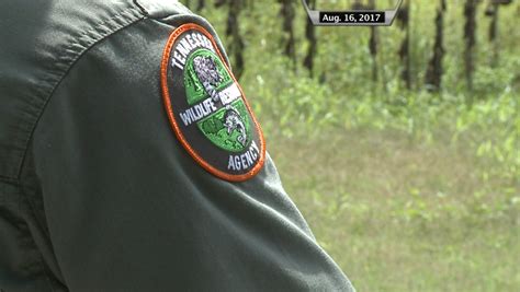 Small game hunting season to kickoff Saturday - WBBJ TV