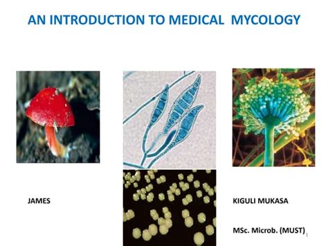 An Introduction To Mycology 11 2017ppt