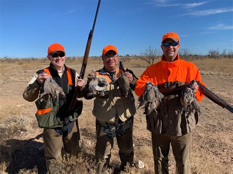 100% Wild Quail Hunting in Central Texas | First Shot Outfitters