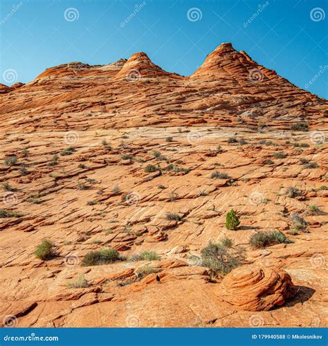 Arizona Wave Famous Geology Rock Formation In Pariah Canyon Stock