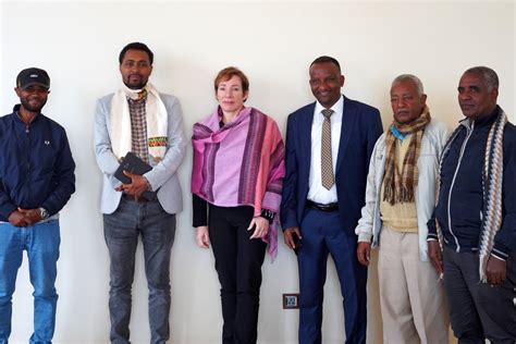 U S Embassy Addis On Twitter Ambassador Jacobson Met With Political Parties In Gondar To