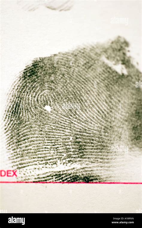 Fingerprint loop pattern hi-res stock photography and images - Alamy