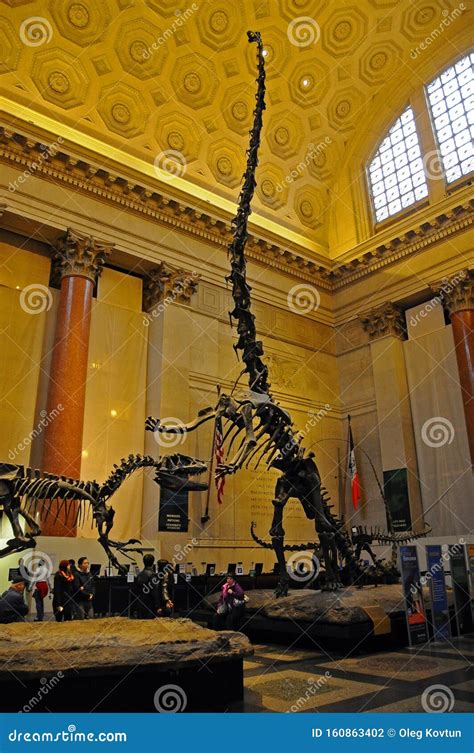 Esqueleto De Dinosaur Museo Metropolitano De Arte Manhattan Nueva York Estados Unidos El