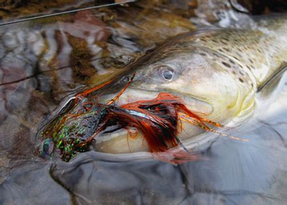 Streamer Flies Subtleties Of Meat Mike Schmidt