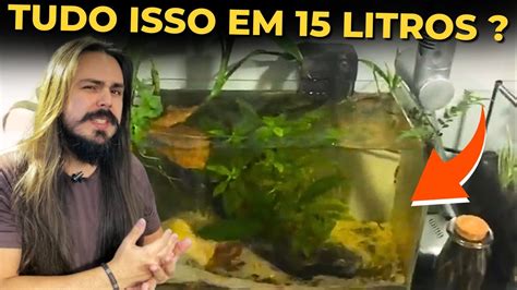 Guppys E Bettas Em Aqu Rio De Litros Do Inscrito Tales Mr Betta