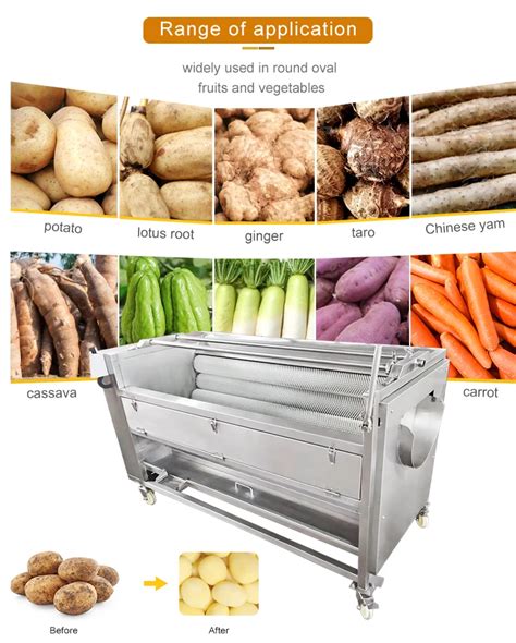 Brush Vegetable Washing Machine Ginger Peeling Machine Potato Carrot