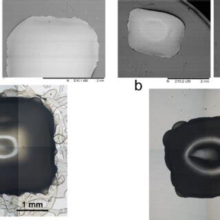 A Optical Microscope And SEM Images 30 And 50 Respectively Of