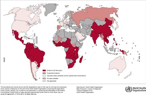 Figure From Epidemiological Transmission Patterns Of Taenia Solium