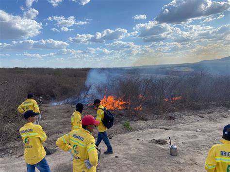 Curso de Brigadas de Combate a Incêndios Florestais será realizado