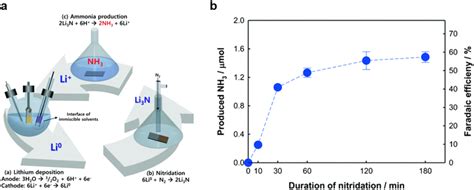 A Schematic Diagram And B Nh3 Yield And Fe Of The Biphasic Hybrid Download Scientific