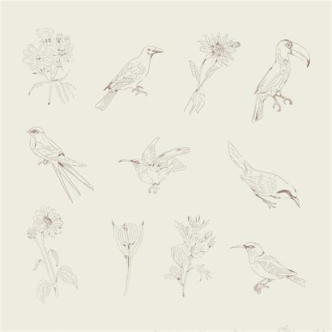 flowers lilac illustration images  vectors pngs mockups