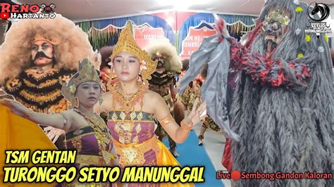 SAK JOSETSM GENTAN TURONGGO SETYO MANUNGGAL LIVE SEMBONG GANDON