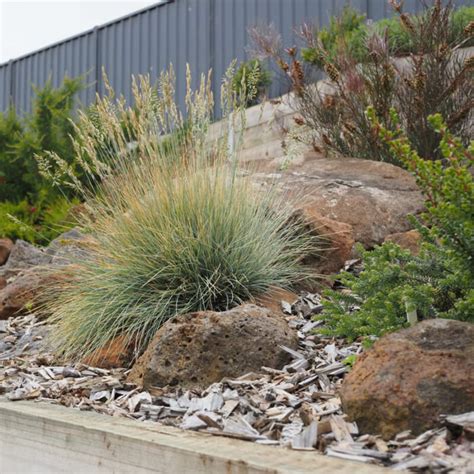 Indigenous Nursery Worn Gundidj Nursery Warrnambool