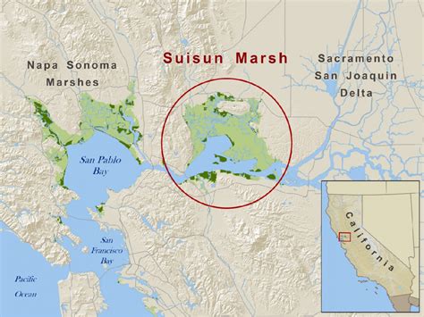 Suisun Marsh Water Education Foundation