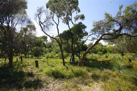 Bellarine And Geelong Landcare Begin Land Stewardship Workshops