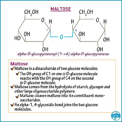 A Bit Of Biochem Review Biochemistry Physiology Mcatreview