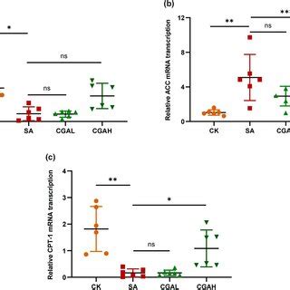 a Effect of CGA and FA on AMPKα1 mRNA level in the spleen of SA mice