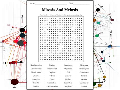 Mitosis And Meiosis Word Search Puzzle Worksheet Activity Teaching