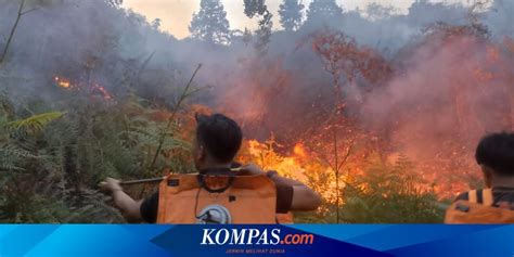 Karhutla Di Nunukan Diperkirakan Hektar Lahan Hangus Terbakar