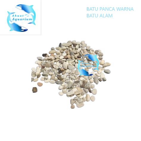 Batu Panca Warna Kg Batu Alam Batu Hias Aquarium Taman Pot