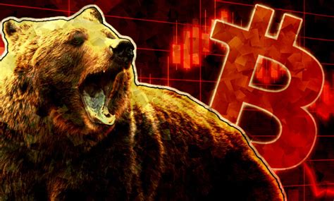 What Is Crypto Bear Market Coinews