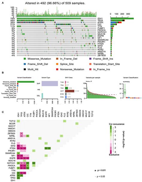 Optimizing Panel Based Tumor Mutational Burden Tmb 58 Off