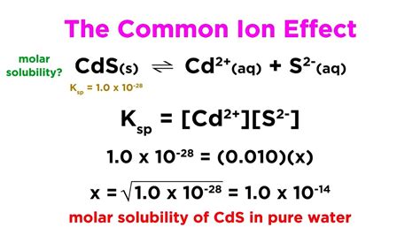 Common ion effect on solubility pogil worksheet - nsaus